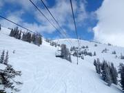Tiefschneehänge im Skigebiet Grand Targhee