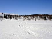 Unendliches Loipenangebot