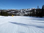 Leichte Piste Vesleseterbakken