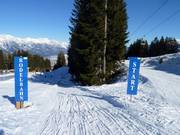 Start der Rodelbahn auf der Mutterer Alm