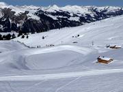 Speicherteich zwischen Metschstand und Hahnenmoos