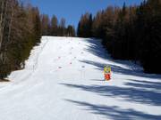 Rennstrecke Dolomitica