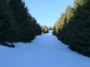 Familienabfahrt Riegel