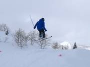 Snowbasin Terrain Parks