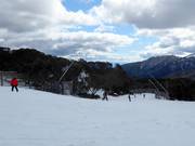 Leichte Talabfahrt Wombats Ramble