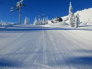 Perfekt präparierte Piste in Sun Peaks