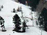 Etoile 2 - Tellerlift