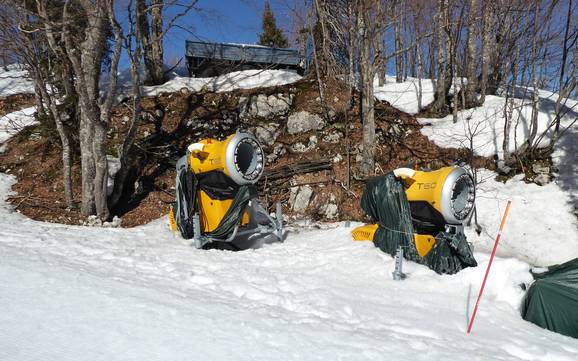 Schneesicherheit Julische Alpen – Schneesicherheit Vogel – Bohinj