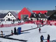 Kindy Conveyor - Förderband/Zauberteppich