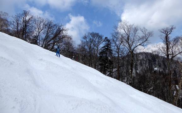 Skigebiete für Könner und Freeriding Prince Snow Resorts – Könner, Freerider Furano