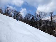 Schwere Buckelpiste im Skigebiet Furano
