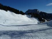 Gammeringabfahrt an den Gammeringalmen