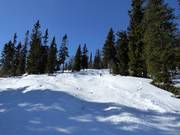 Buckelpiste im Skigebiet von Idre Fjäll