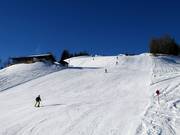 Piste Waldalm-Kreuzboden