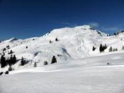 Blick auf den Diedamskopf