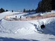 Tipp für die Kleinen  - Ellmis Funslope (Ellmau)