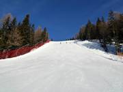 Piste Var "S" nach Vierschach