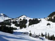 Blick zum Wildgunten