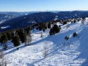 Spuren im Tiefschnee