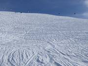 Tiefschnee am Metschstand