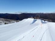 Monster Energy Terrain Park