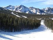 Herrliche Waldabfahrten am June Mountain