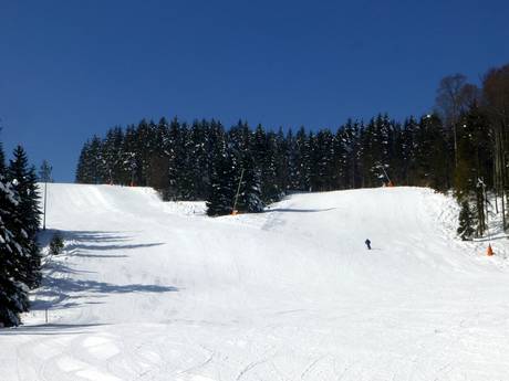 Dreisamtal: Größe der Skigebiete – Größe Haldenköpfle