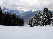 Typische Abfahrt am Mont Lachat