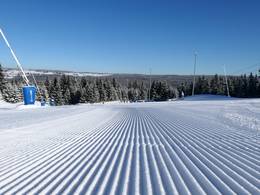 Pleßberg (Plešivec) – Abertamy