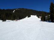Übungsareal in Königsleiten am Märchenwaldlift