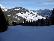 Schwarze Piste an der Karbachalmbahn