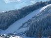 Skigebiete für Könner und Freeriding Schladming-Dachstein – Könner, Freerider Ramsau am Dachstein – Rittisberg