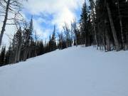 Die Monster Glades fordern auch den Könner