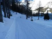 Skiweg zum Hahnlgraben