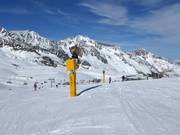 Beschneiung Eisjochzunge