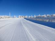 Auch die Rodelbahn wird sehr gut präpariert