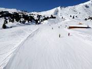 Piste Tschuggen-Arven