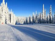 Leichte Piste Cahilty