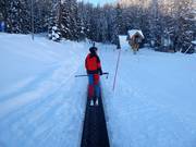 Zauberteppich Gallisches Skidorf