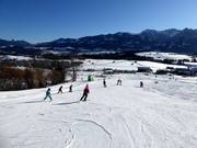 Leichtes Übungsgelände im Tal am Dorf- und Hörnilift