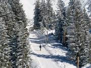 Klämmli - Schlepplift mit T-Bügel/Anker