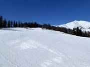 Leichte Stockerboden Abfahrt