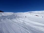 Leichte Abfahrten am Wolkensteinlift