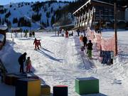 Tiny Tiger Carpet - Förderband/Zauberteppich