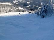 Buckelpiste unterhalb der Nordhang Sesselbahn