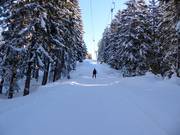 Sattellift - Schlepplift mit T-Bügel/Anker