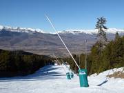 Schneilanze in Masella