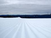 Sehr gute Pistenpräparierung am Mt. Buller