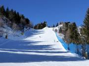 Piste Zoncolan 3 - Alta
