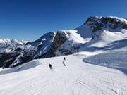 Leichte Olympia Abfahrt Damen